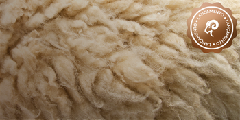 EcoFiber Wool